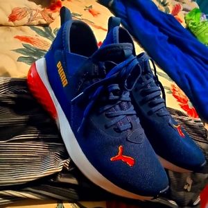 Blue Pumas